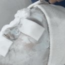 브리앙슈에스테틱 네이버블로그