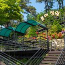 명물 춘천닭갈비 이미지