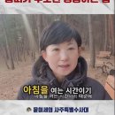 철은 없어도 꿈은 크다 용띠가 무조건 성공하는 법 이미지
