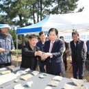 완도 법화사지 이미지