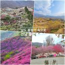 토영이야~길(1코스-예술의 향기길) | 전남 봄꽃여행 3월 축제 코스 총정리! 산수유, 매화, 진달래 향기