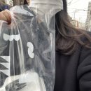 월간지지 3월 : 나에겐 먹여 살려야 할 토끼같은 내가 있다