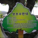 청마기념관 이미지