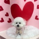 멍베베그루밍 이미지