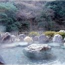 자유온천 이미지