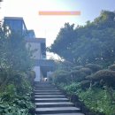 비스비제주 앤 팜빌리지 | 비스비제주 앤 팜빌리지 숙소 후기