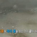 무지개떡볶이