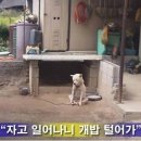 16 이미지