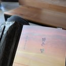 동아특장 | [서평] 밝은 밤_최은영 | 4대에 걸친 근현대 여자들의 이야기 꼬옥 읽으면 되 .. 𖤐