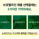 더파인즈