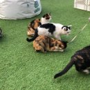 세계주류백화점 앞 이미지