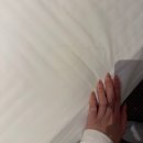 신라세탁 | [강릉] 신라모노그램 호텔 프리미어 디럭스 더블 오션뷰 솔직 후기