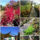 세주농장 이미지