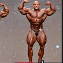 떠오르는 미스터 올림피아 신예 Big Ramy 이미지