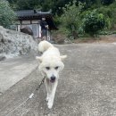 부남1리마을회관 이미지