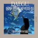 동대구농장 | 대구아쿠아리움 후기🐠 / 동대구역 실내 데이트 &amp; 아이와 가기 좋은 대구 수족관