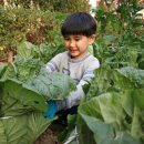 영도초교(병설) 이미지