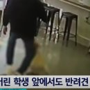 유자네 댕댕이 이미지