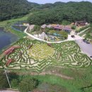 바람아래 이미지