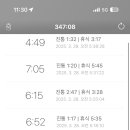 꿀비 네이버블로그