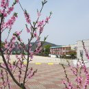 달천동 행정복지센터 앞 이미지