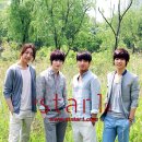 씨앤블루 이미지