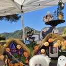 댕댕랜드 이미지