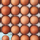 신선농장 이미지