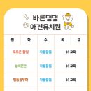 바른댕댕 애견유치원 이미지
