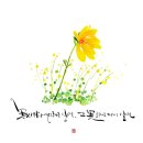 캘리그라피글꼴