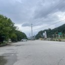 동갈보대 이미지