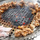 강원곰장어 이미지