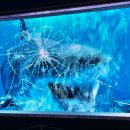 대전아쿠아리움 이미지