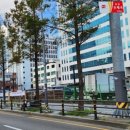 중앙대로 이미지