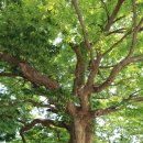 에셀목장 | 의정부 공원 기행 22] 녹양역 유래와 공원이야기