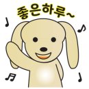 갓샐러드 네이버블로그