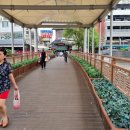 시장보건약국 이미지