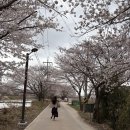 [비비엔느헤어 대연점] 초코브라운 전체염색 후기 ✨