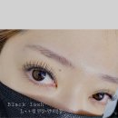 블랙래쉬