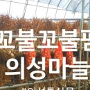 도옥농장 네이버블로그