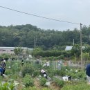 김수정농장 이미지