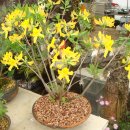 풀꽃농장 이미지