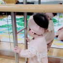 한지노리