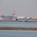 바다나루 이미지