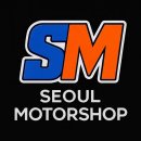 카필모터스 | 신차 패키지 필수 코스! 카니발 KA4 페이스리프트 GSC 정품 사이드스텝 장착 시공 후기