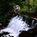 달천계곡 오토캠핑장 이미지