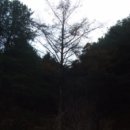 하색2리 마을회관 이미지