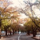 화이트스톤 골프연습장 이미지