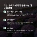 폭포수목장 이미지