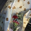 밀물소이 | 5월 사진일기